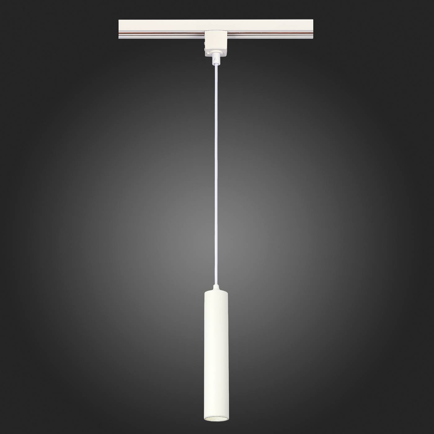 Трековый светильник ST Luce ST151.506.01