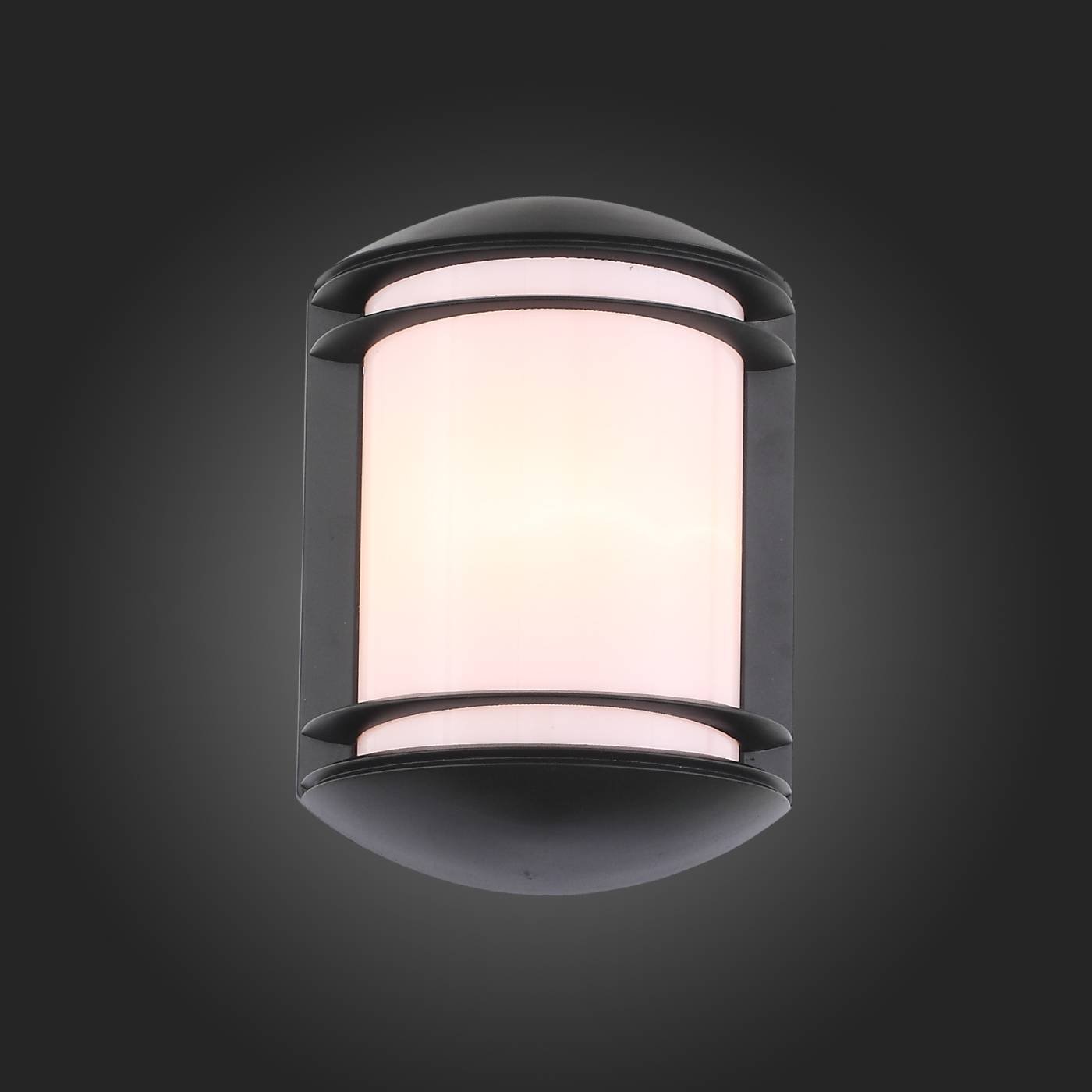 SL076.401.01 Уличный настенный светильник ST Luce Agio SL076.401.01