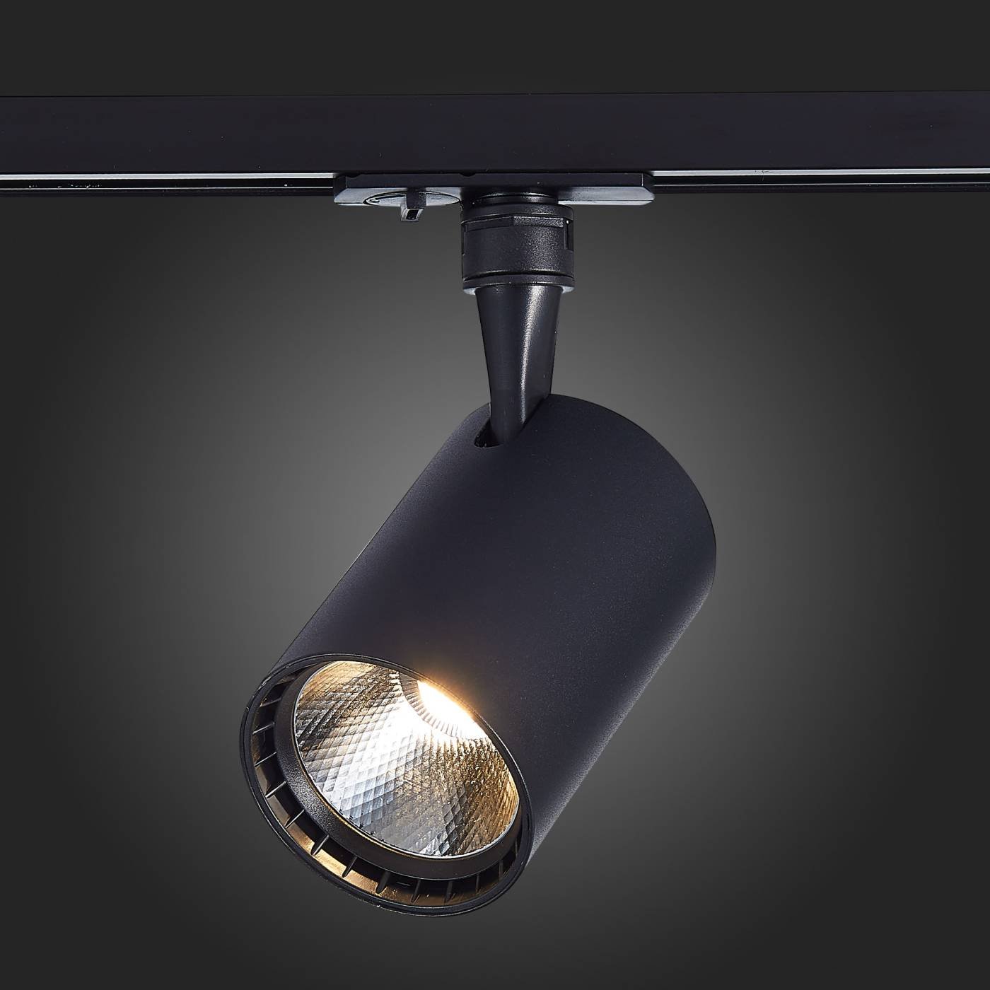 ST351.446.30.36 Трековый светильник ST Luce Cami ST351.446.30.36