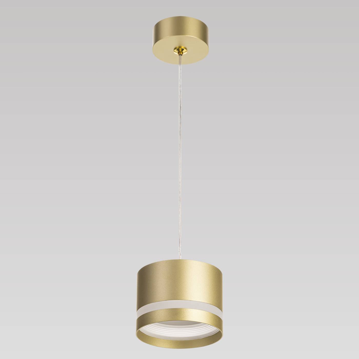 CL002P12 Светильник подвесной Citilux Hardy CL002P12