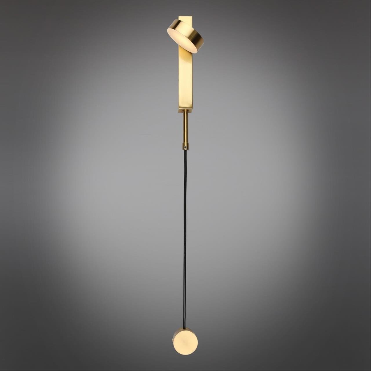 Настенный светильник Aployt Aga APL.016.01.07