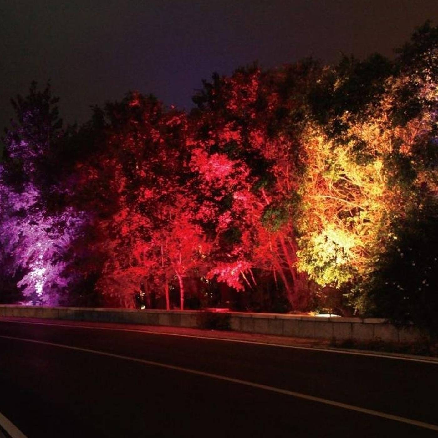 Прожектор уличный Volpe Ulf-q513 ULF-Q513 10W/RED IP65 220-240В BLACK картон