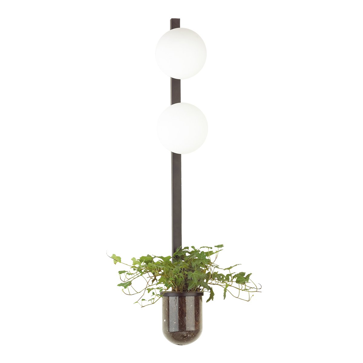 Настенный светильник Odeon Light Flower 4681/2WA