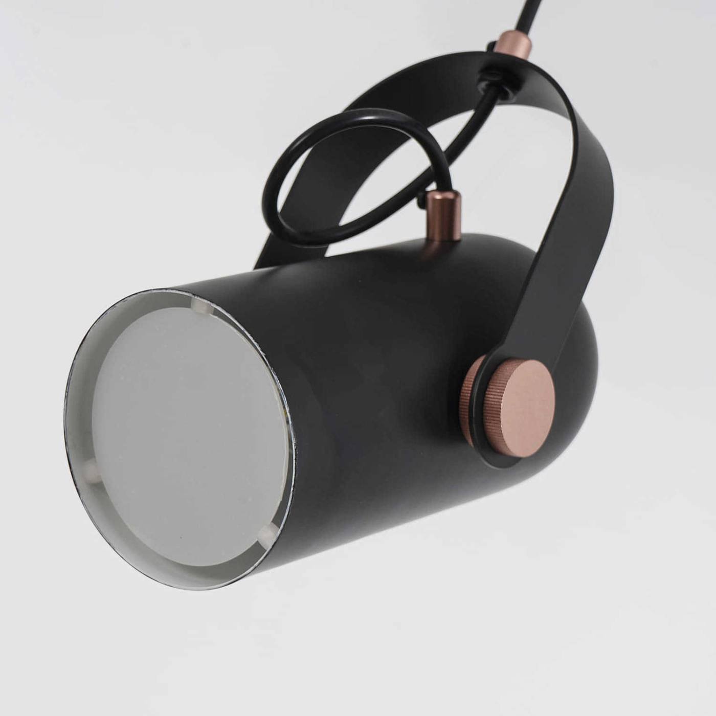 2007-1P Светильник подвесной Favourite Ampolla 2007-1P