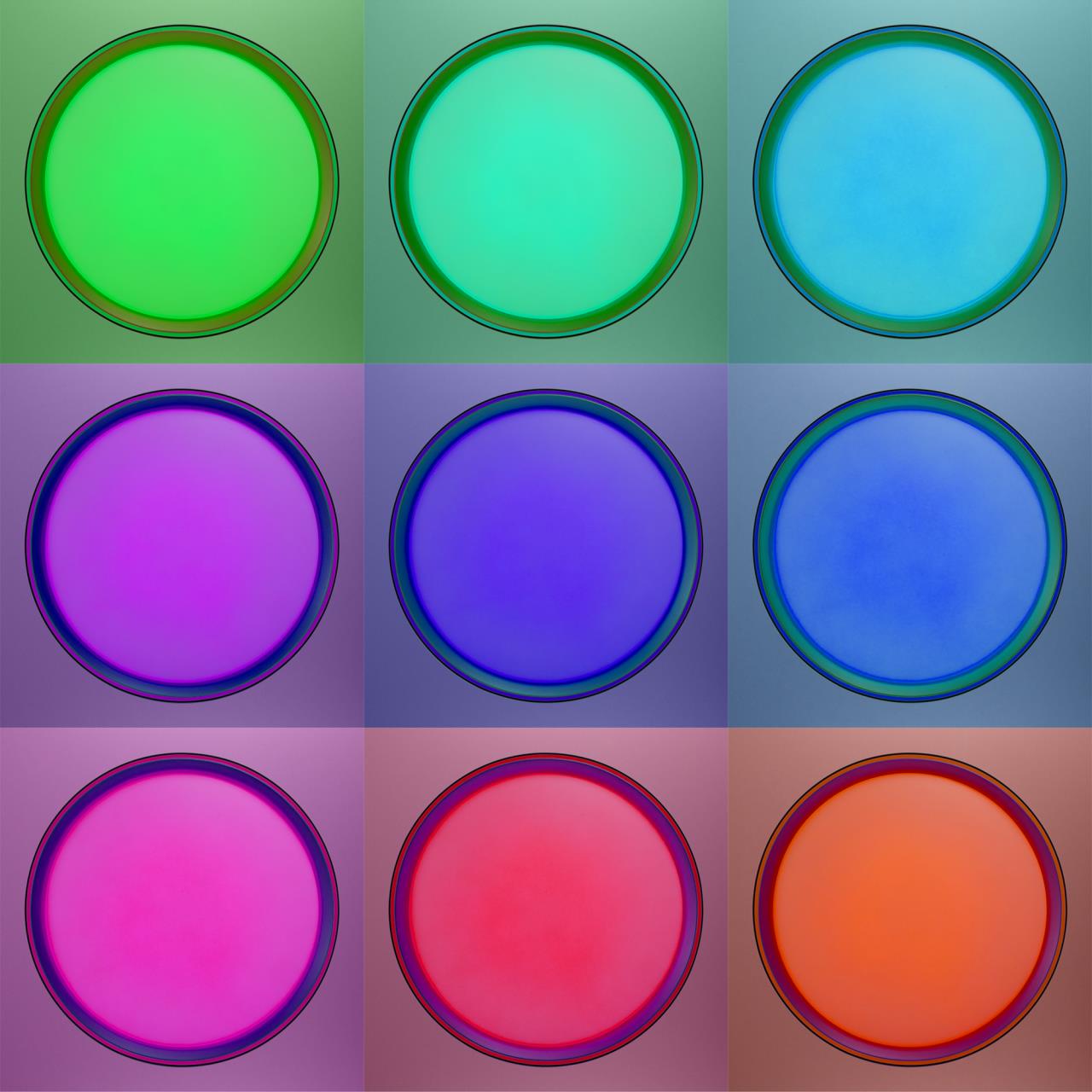 CL751351G Светильник потолочный Citilux Boss CL751351G