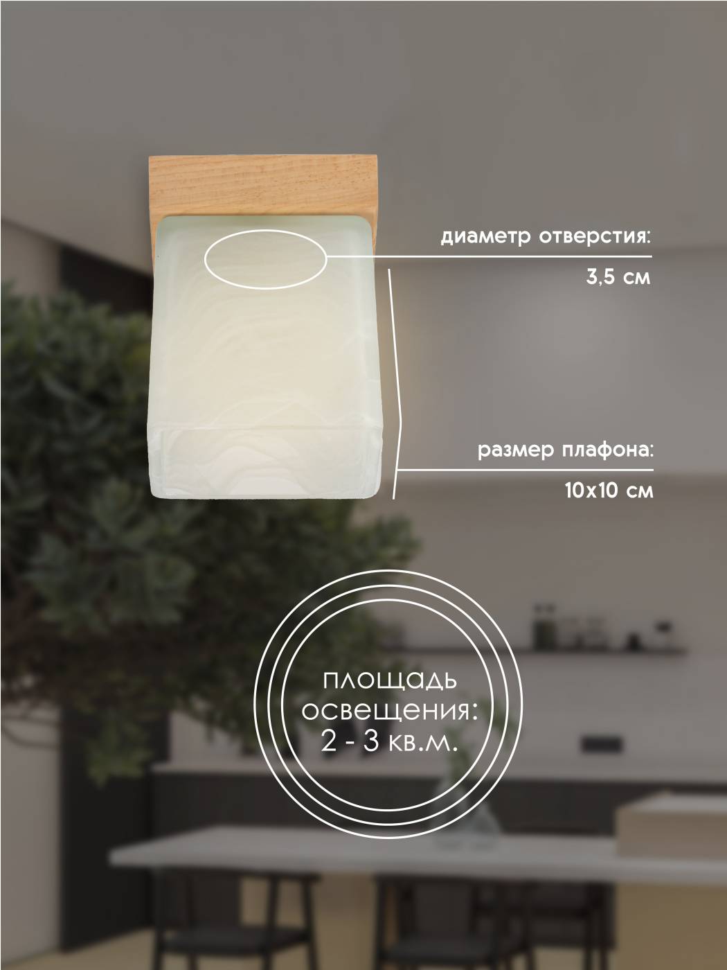 Светильник потолочный Мелодия Света Nika 000036813