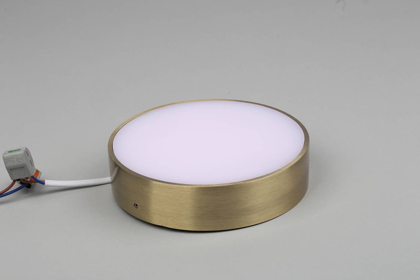 APL.0114.29.18 Светильник потолочный Aployt Evon APL.0114.29.18