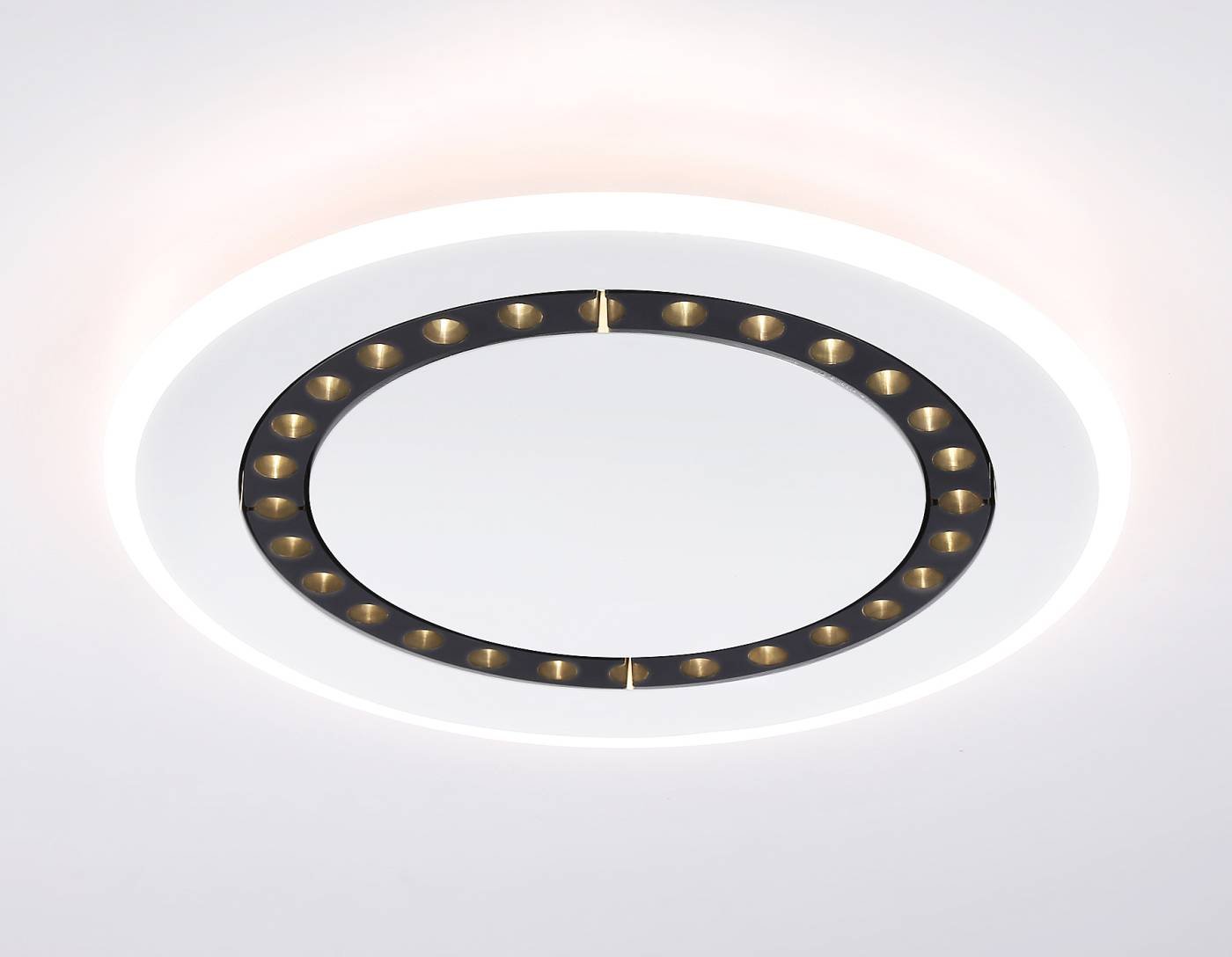 FL51402 Светильник потолочный Ambrella LineTech FL51402