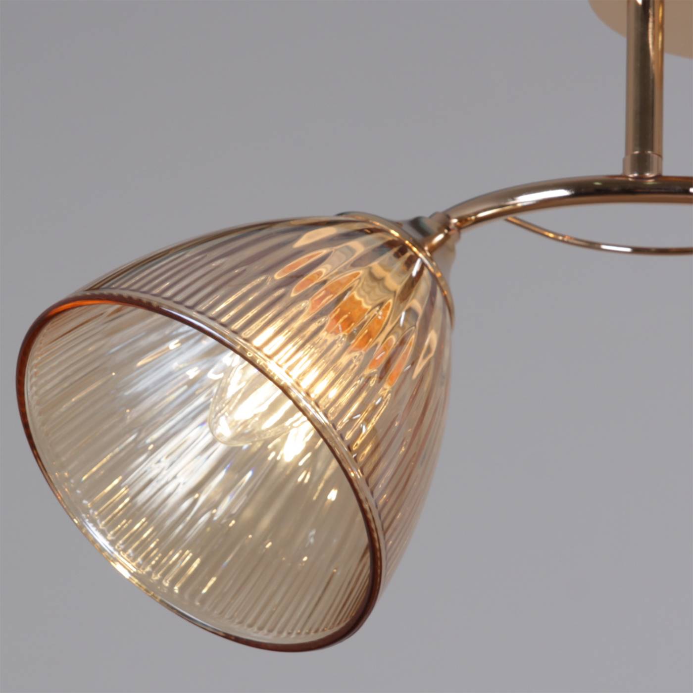 Потолочная люстра Reluce 02560-0.3-03 FG