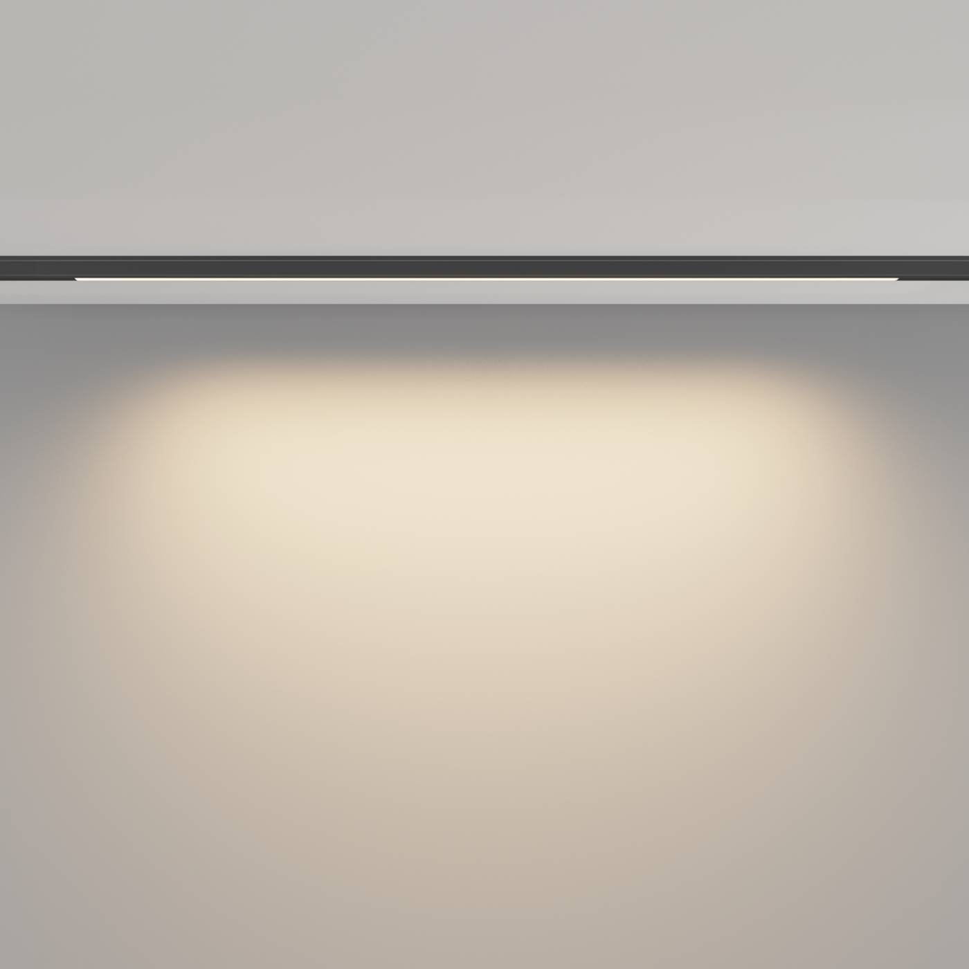 Трековый светильник Maytoni Basis TR190-1-10W3K-B