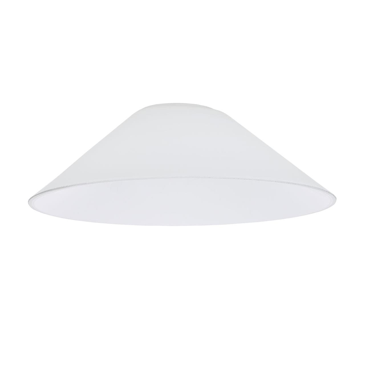 Citilux Эдисон CL450.12