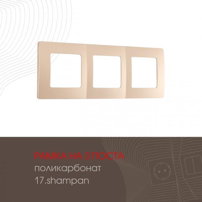 517.17-3.shampan Рамка Arte Milano Am-517.17 517.17-3.shampan