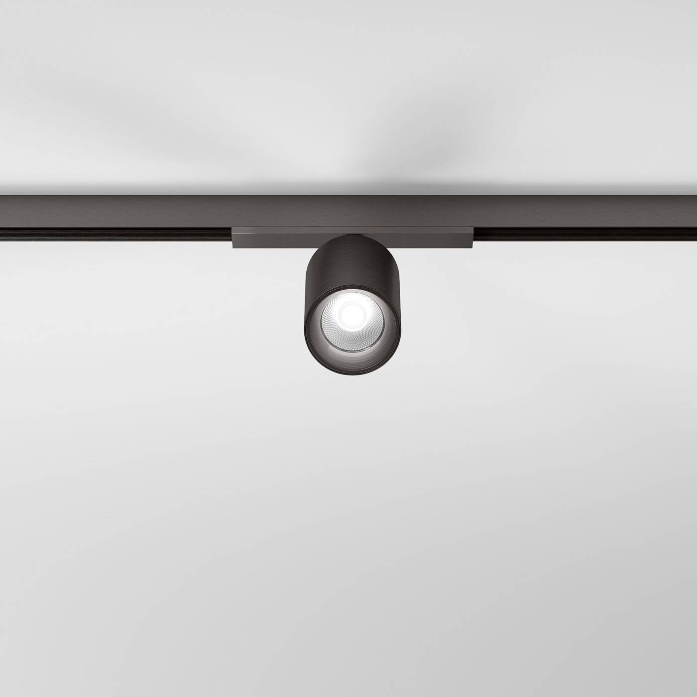 Трековый светильник Line Magnetic Elektrostandard Трековый светильник 10W 4000K (титан) 85525/01_система Лайн