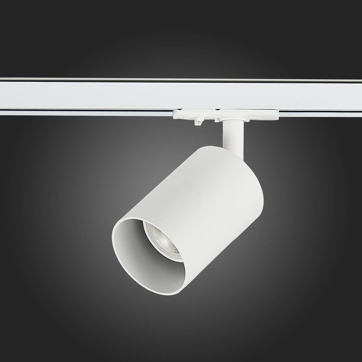 ST302.506.01 Трековый светильник ST Luce Vali ST302.506.01