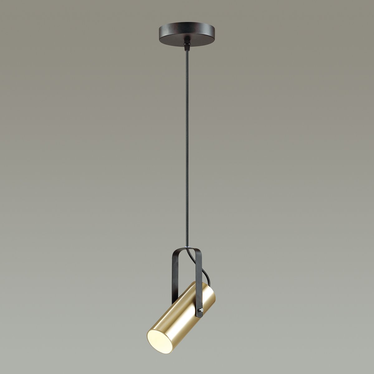 Светильник подвесной Lumion Claire 3714/1