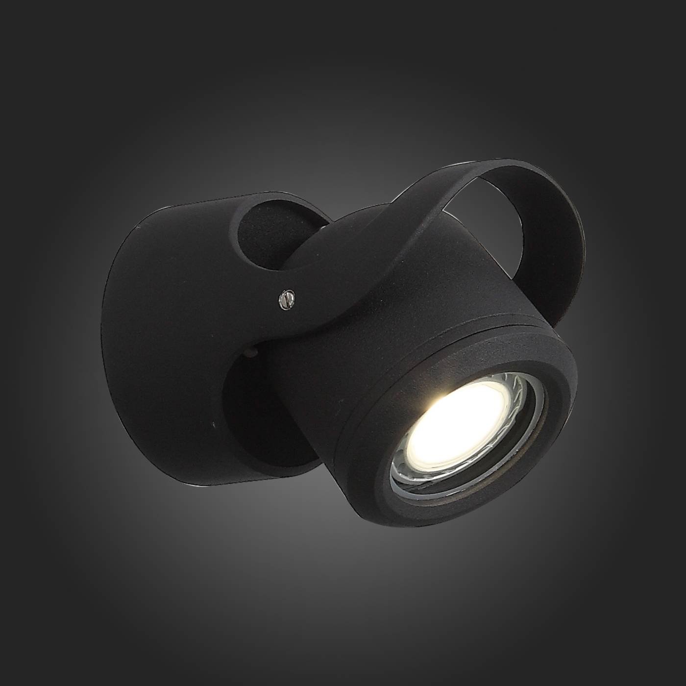SL093.401.01 Уличный настенный светильник ST Luce Round SL093.401.01