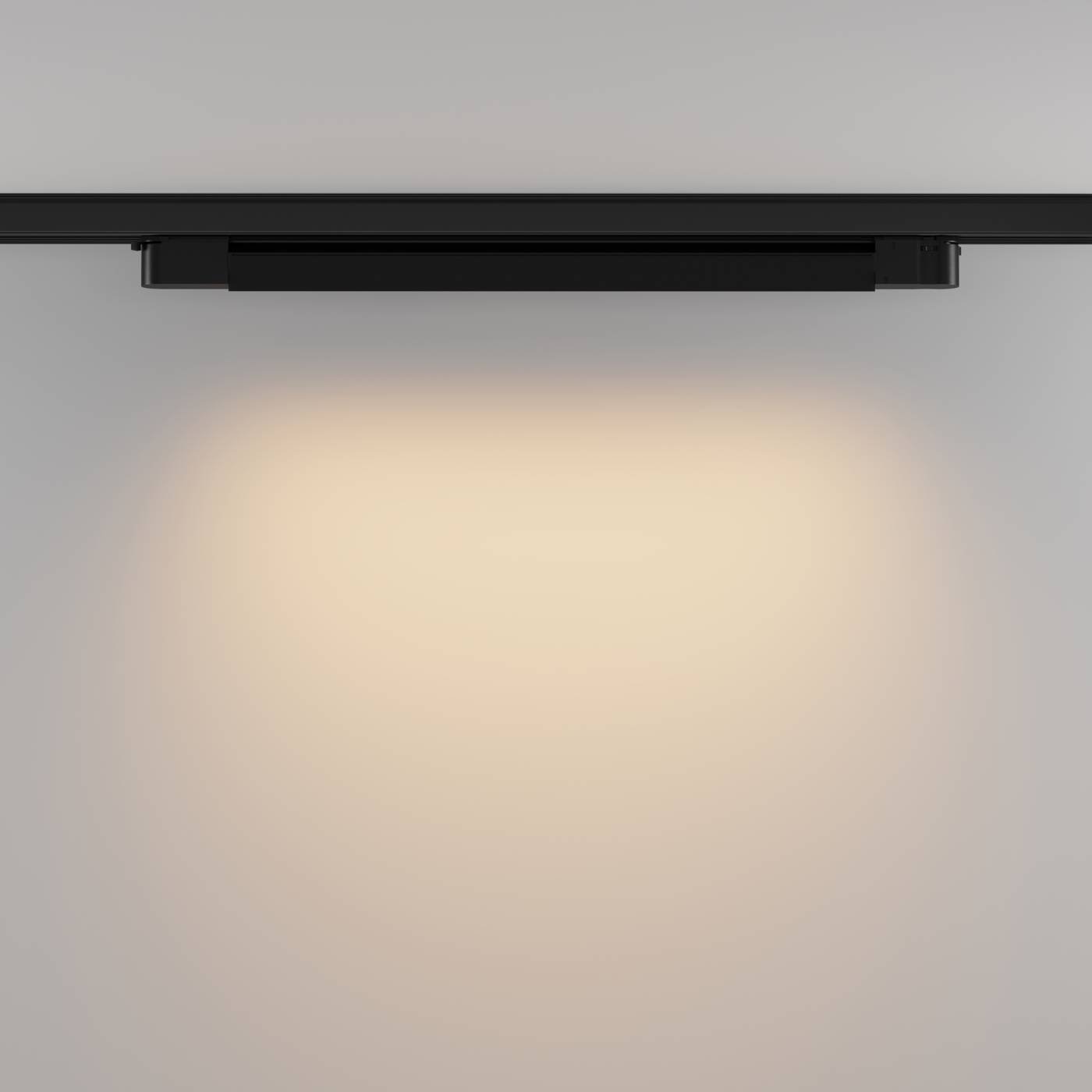 TR196-3-20W2.7K-B Трековый светильник Maytoni Basis TR196-3-20W2.7K-B