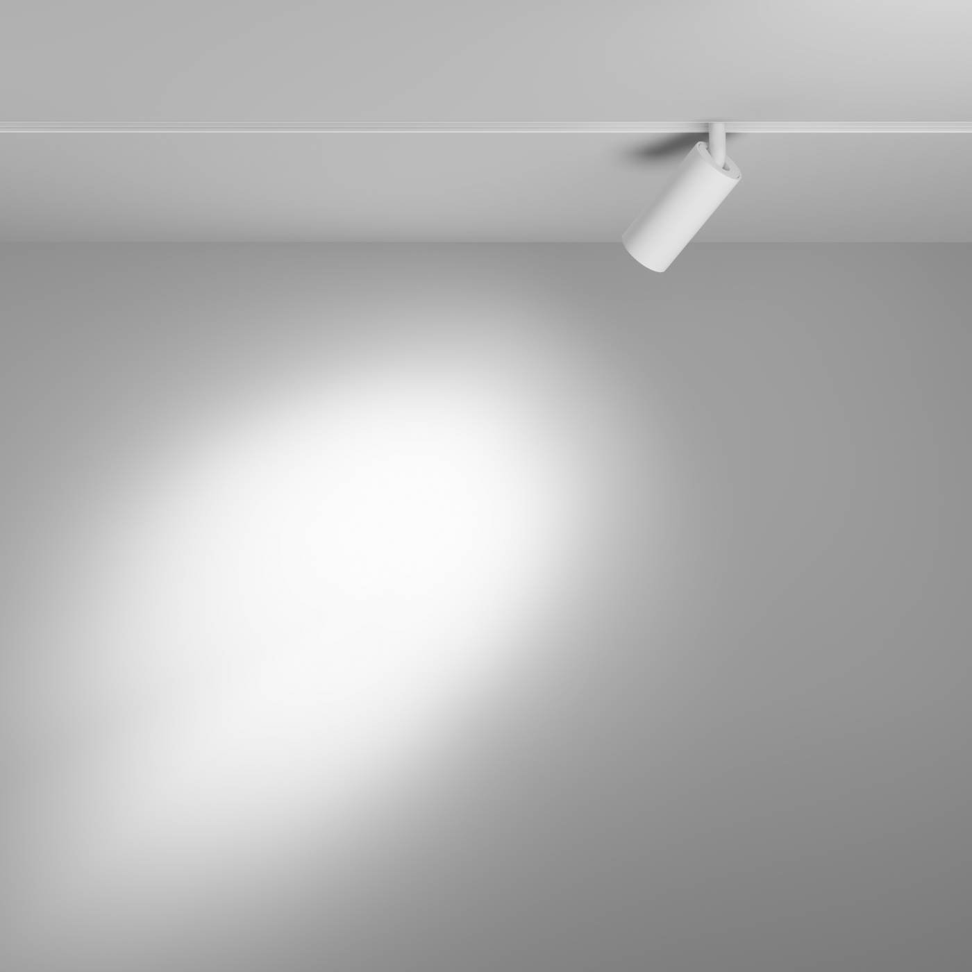 Трековый светильник Эксилайт / Exilight Voltega VGL032-2-5W3K-S-W