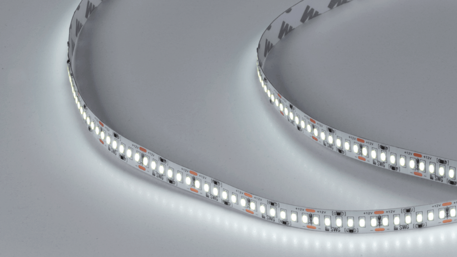 SWG4240-12-24-W-M LED лента SWG Standard SWG4240 SWG4240-12-24-W-M