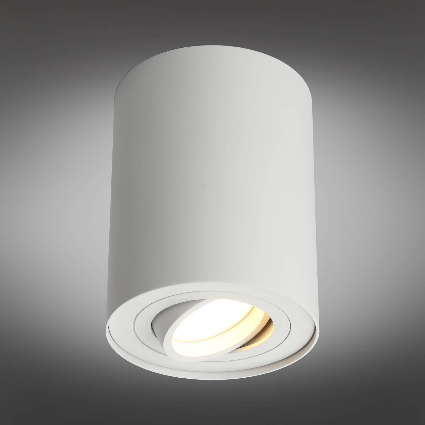 OML-101009-01 Накладной светильник Omnilux Pantaleo OML-101009-01