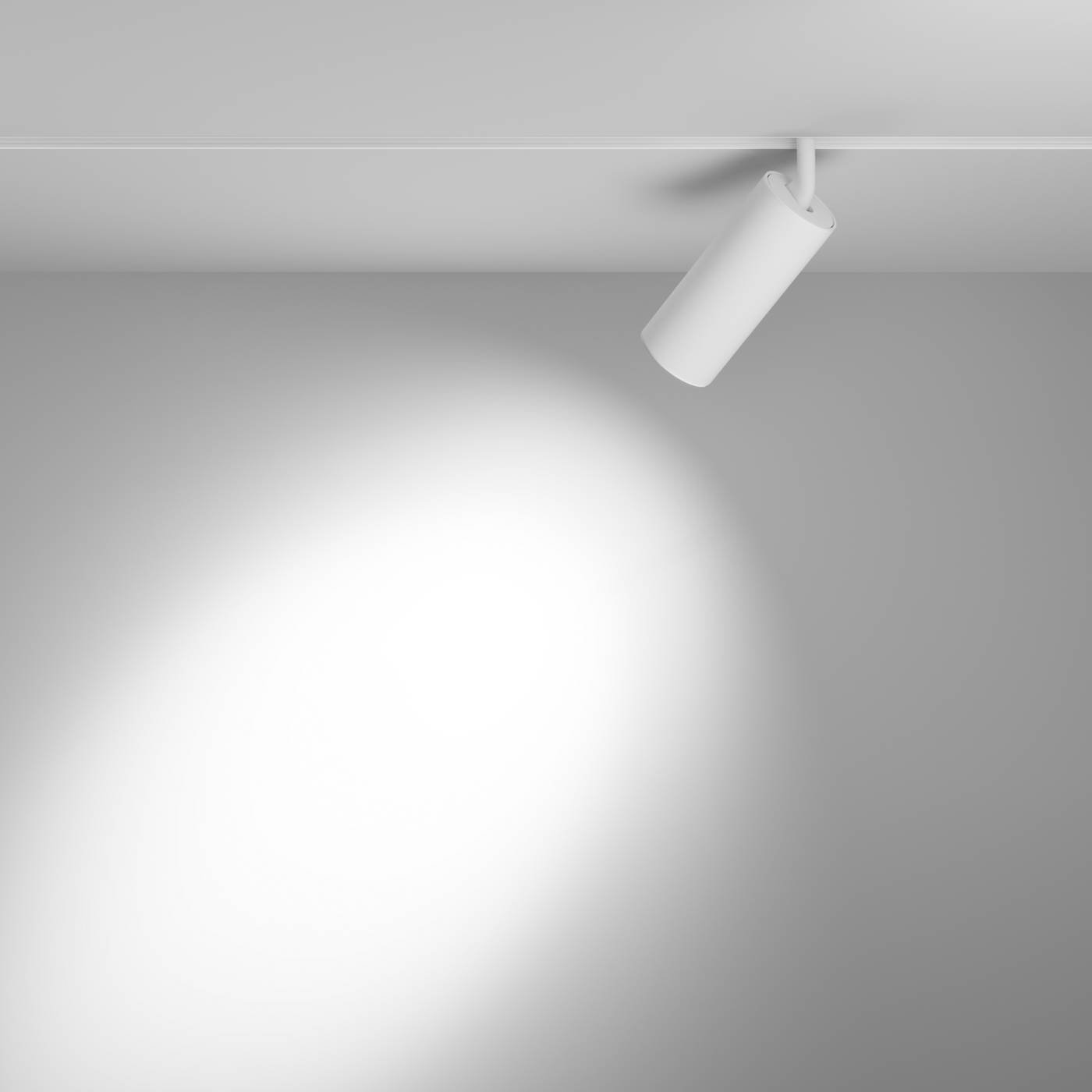 Трековый светильник Maytoni Focus LED Exility TR032-4-20W3K-S-DS-W