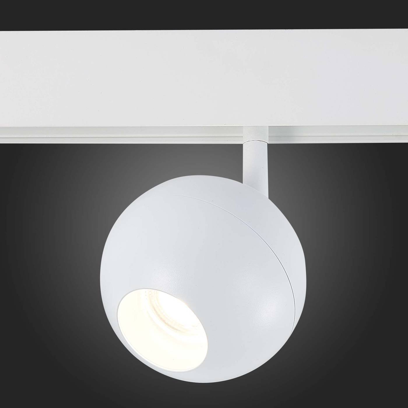 ST354.546.12 Трековый светильник ST Luce Bole ST354.546.12