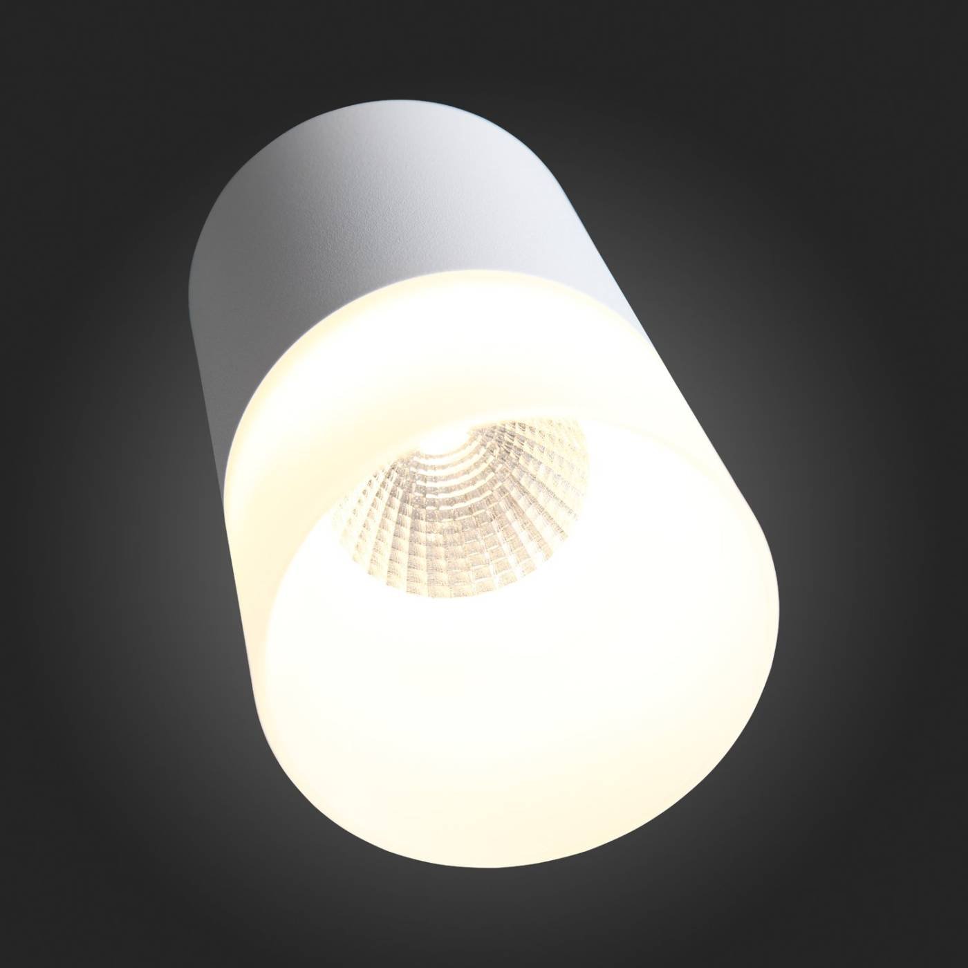 Накладной светильник ST Luce Ottu ST100.502.05