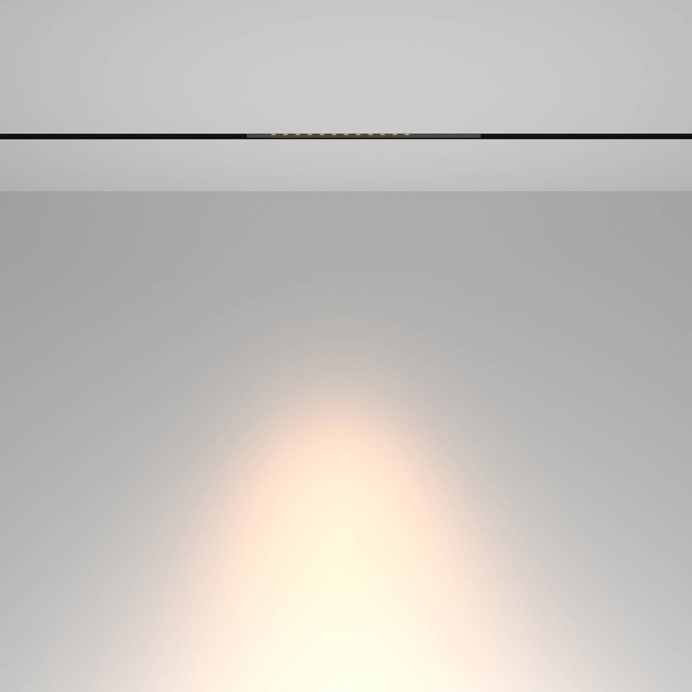 Трековый светильник Maytoni Points TR232-2-10W3K-B