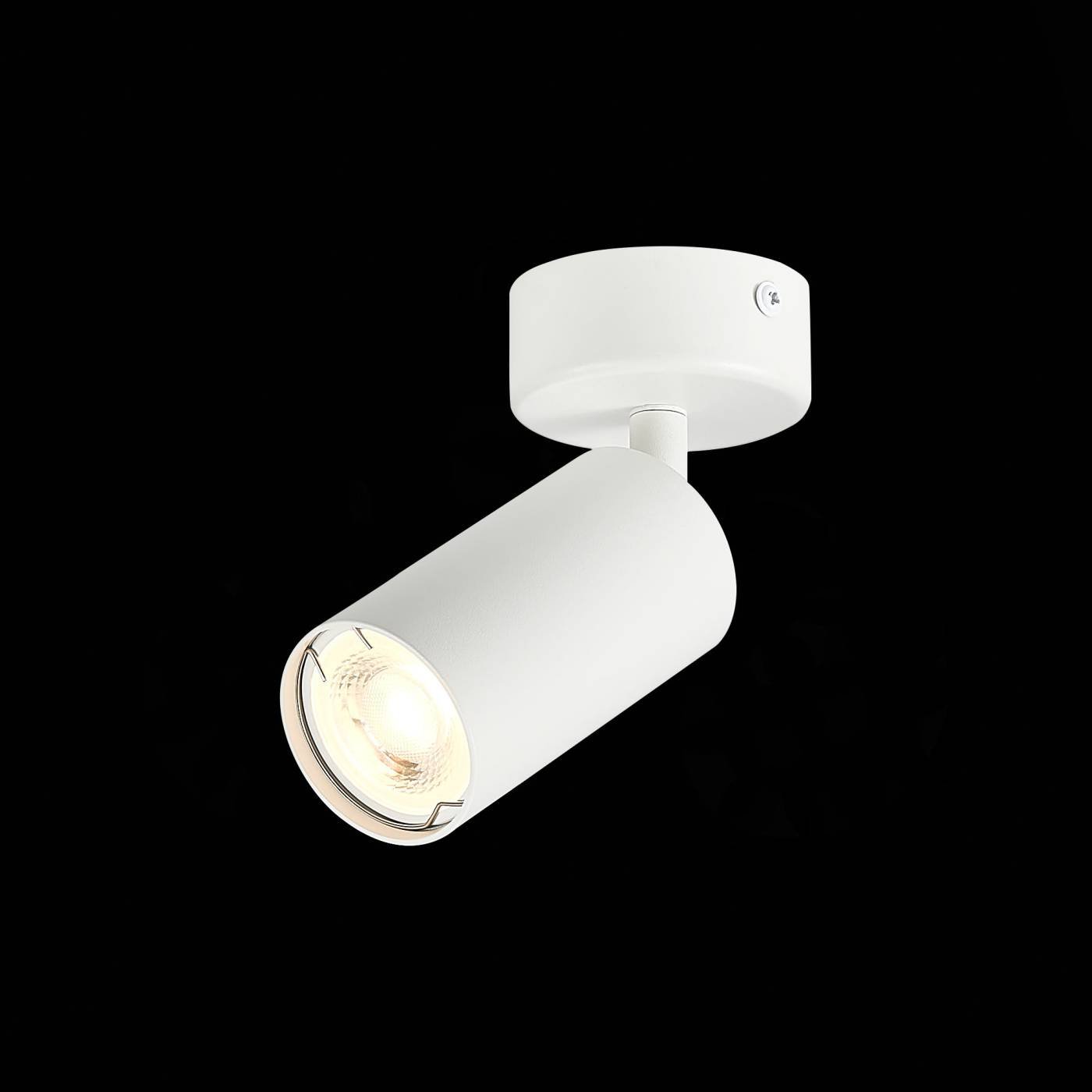 ST303.502.01 Светильник спот ST Luce Dario ST303.502.01