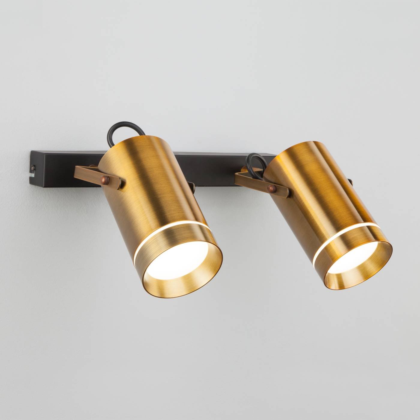 20063/2 LED античная бронза Светильник спот Eurosvet Bronze 20063/2 LED античная бронза 18W