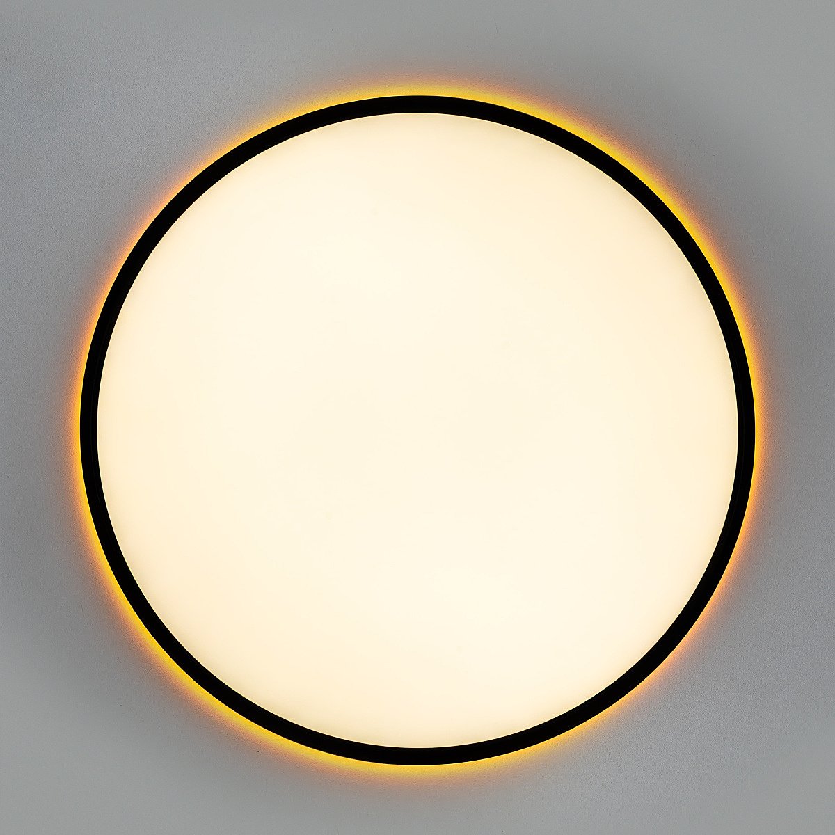 Светильник потолочный Citilux NORMA CL749501