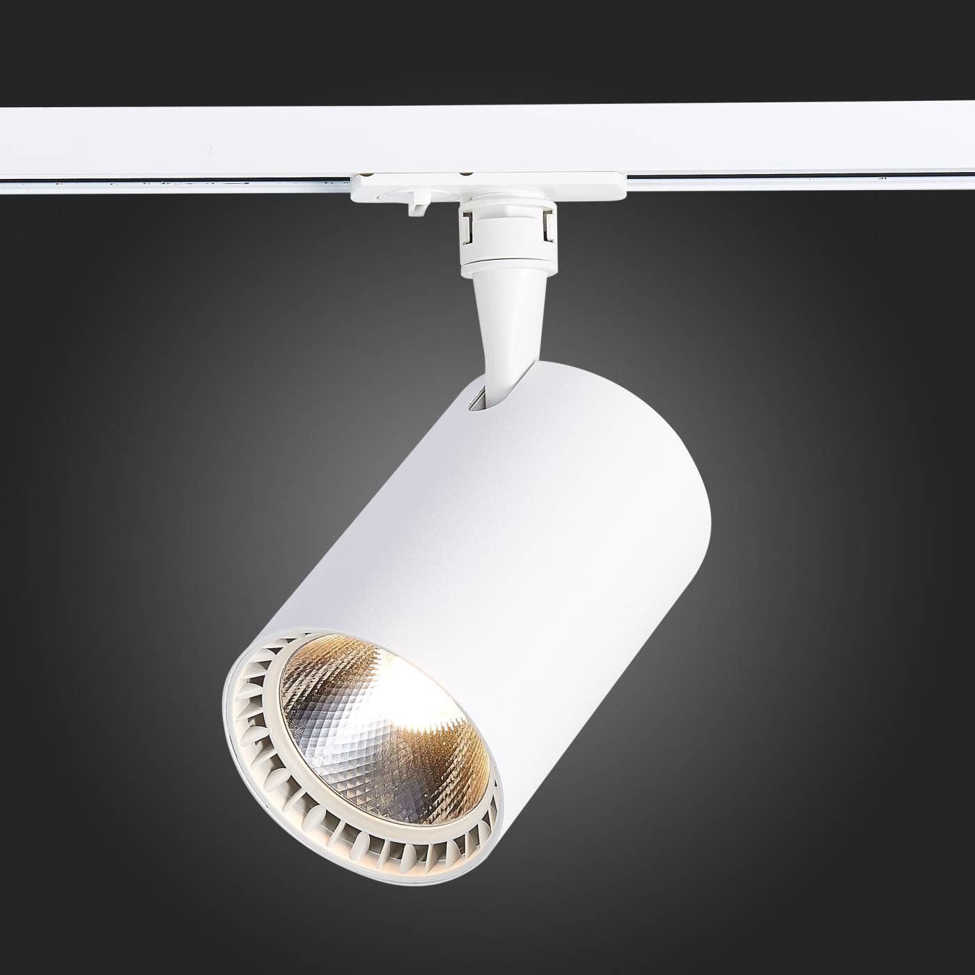 ST351.546.30.36 Трековый светильник ST Luce Cami ST351.546.30.36