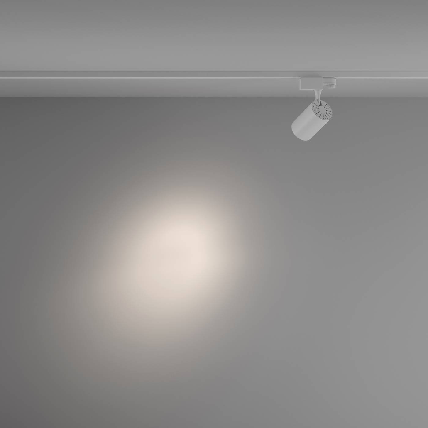 Трековый светильник Maytoni Vuoro Trinity TR029-3-10W4K-S-W