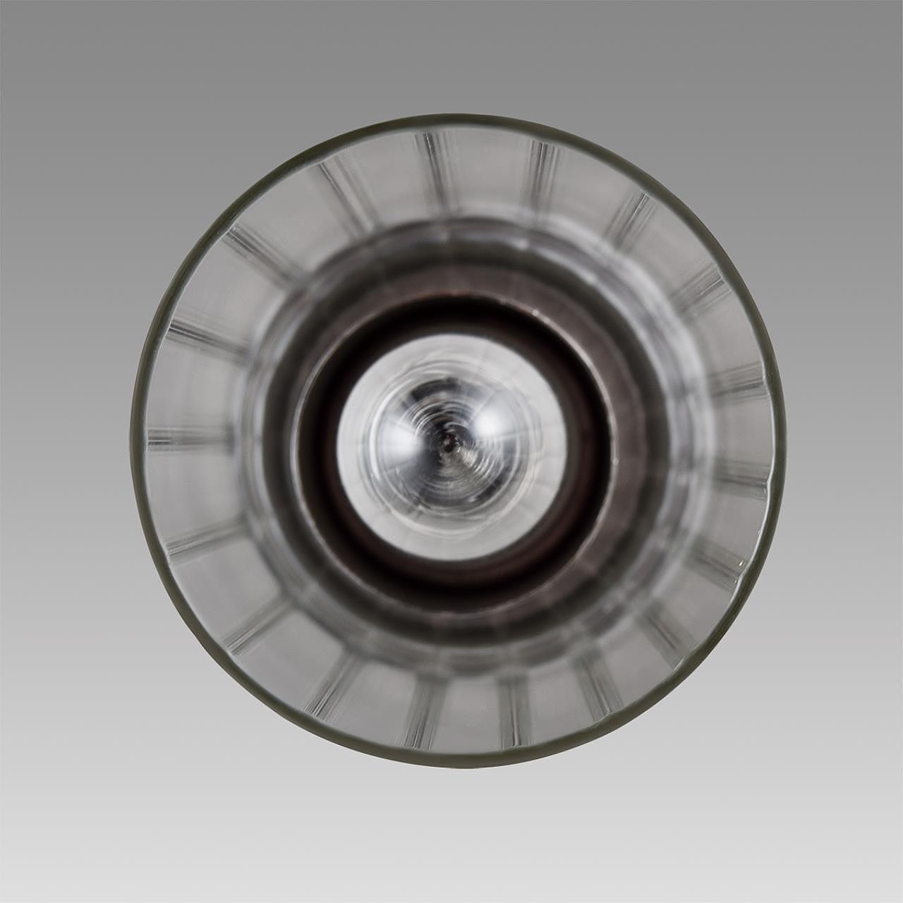 8102/1A Светильник подвесной Lumion Isha 8102/1A
