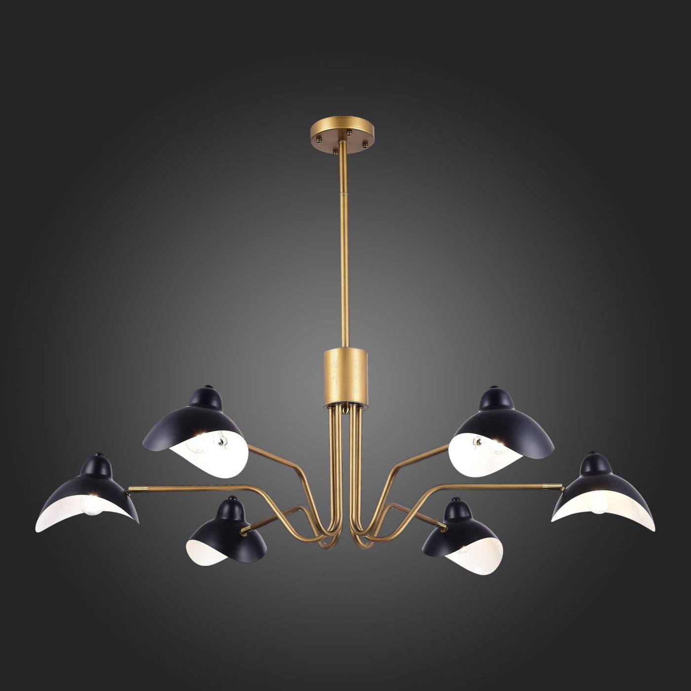 Потолочная люстра ST Luce Minne SL1801.313.06
