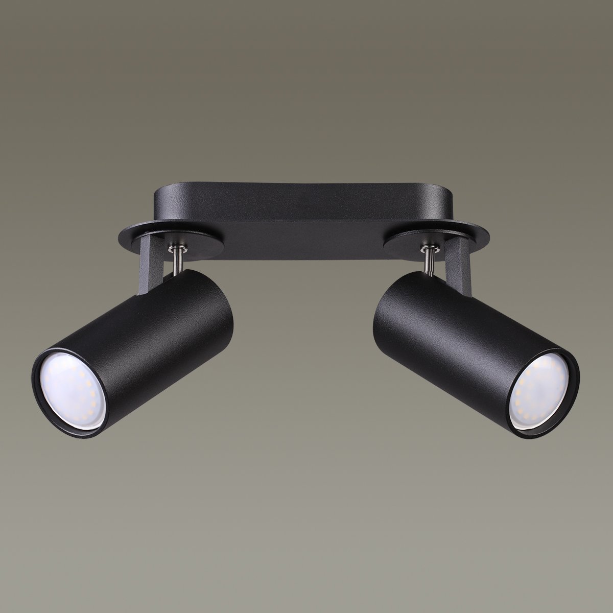 Светильник спот Odeon Light Corse 3872/2C