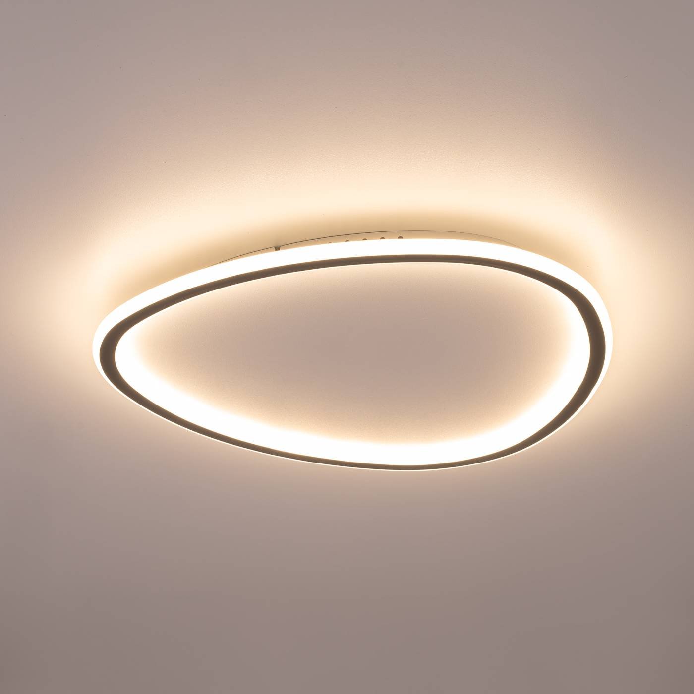 CL215B251E Потолочная люстра Citilux Тrio CL215B251E