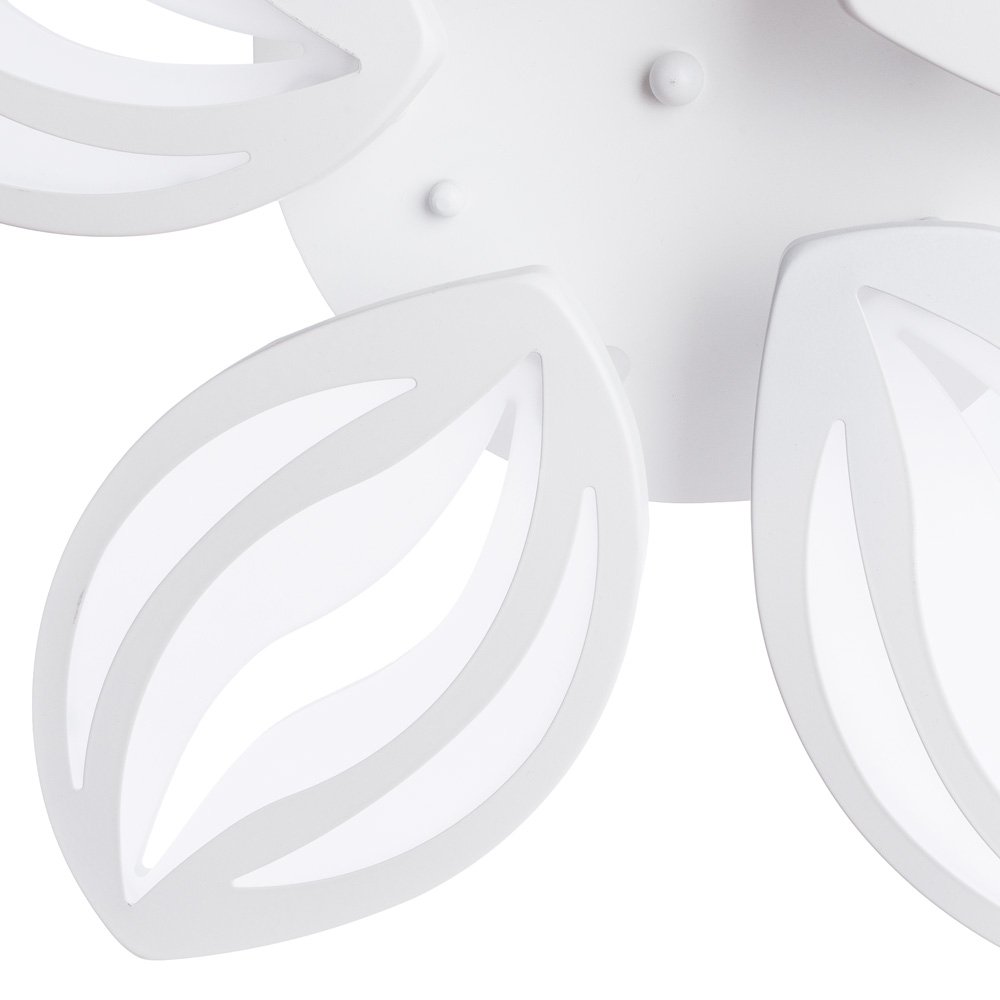 A1098PL-5WH Потолочная светодиодная люстра Daisy Arte Lamp A1098PL-5WH