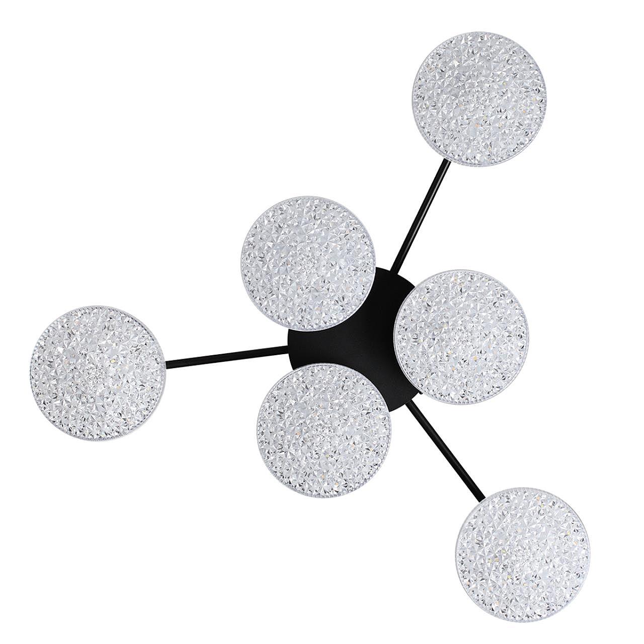 8236/6CL Потолочная люстра Lumion Didana 8236/6CL