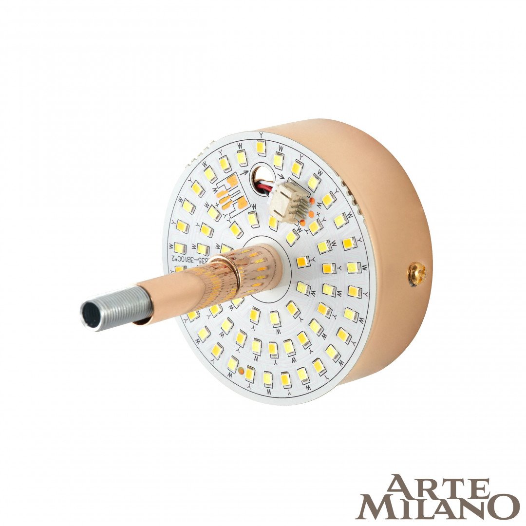 Настенное бра Arte Milano 1.1252B.D150.H150.LED G