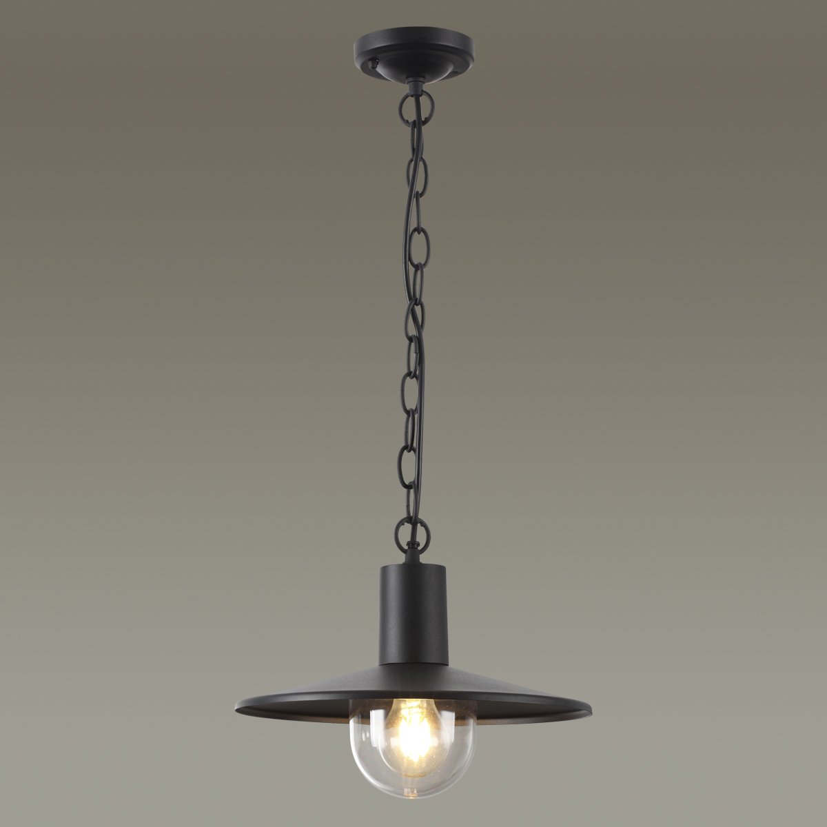 4833/1 Уличный подвесной светильник Odeon Light Furcadia 4833/1