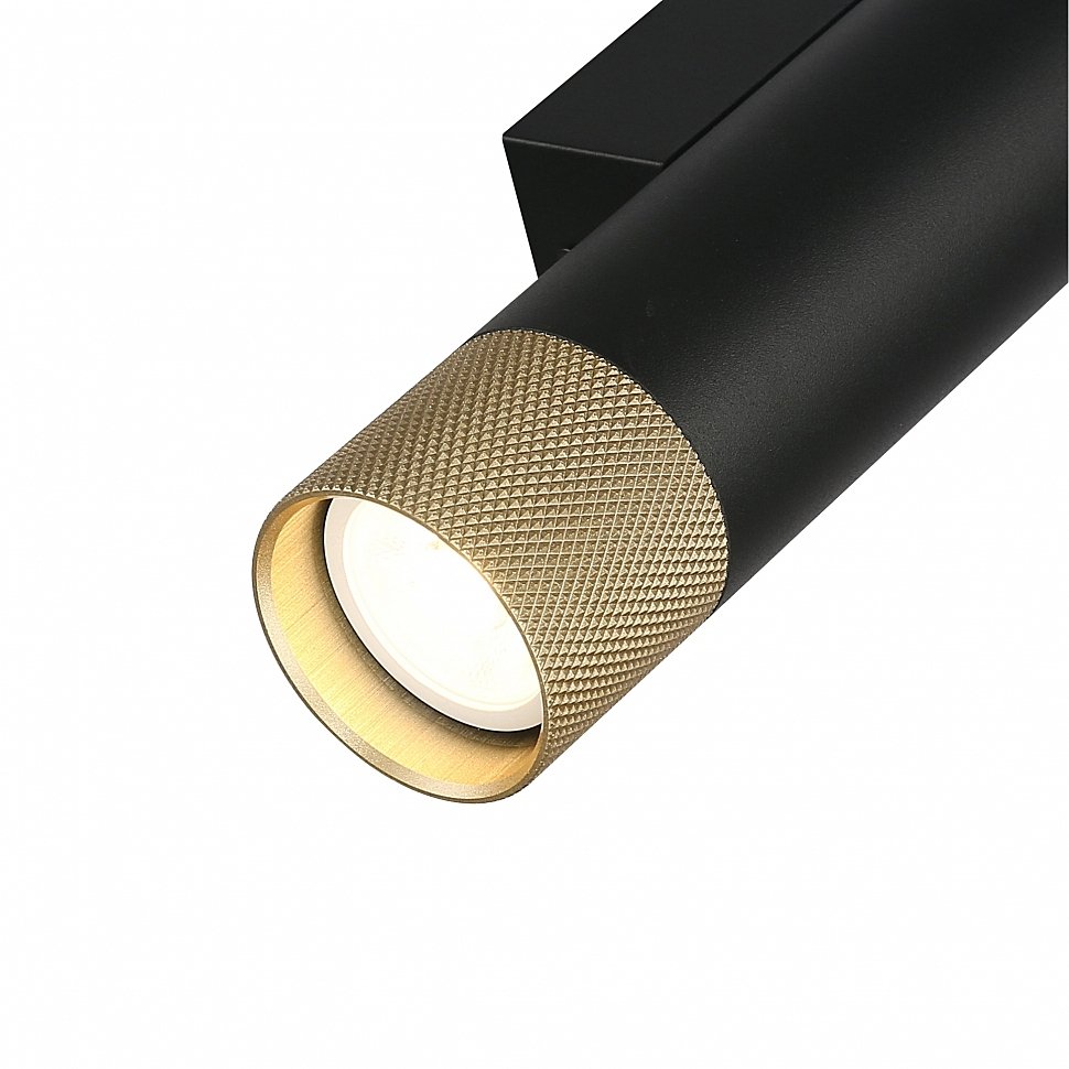 Настенный светильник iLEDEX TECHNICAL Delta 2365-2 BK+BR