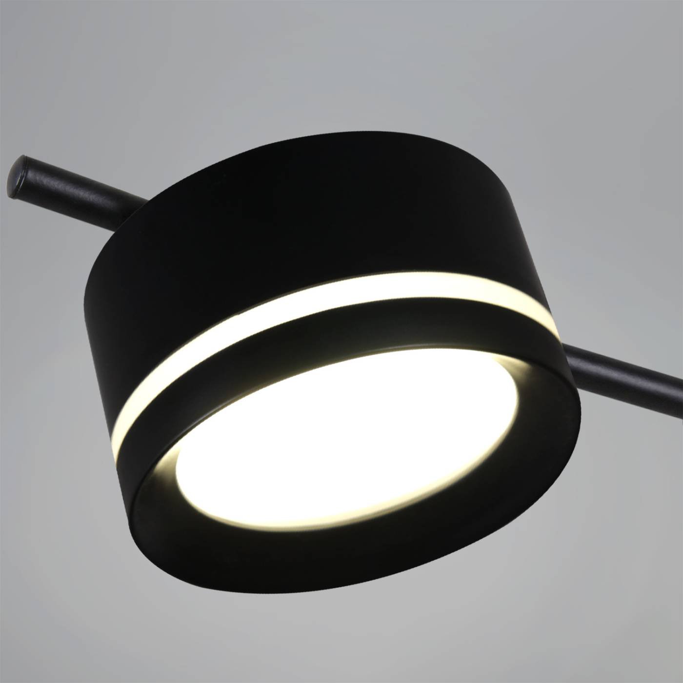 Потолочная люстра Reluce 10590-0.3-04 Black