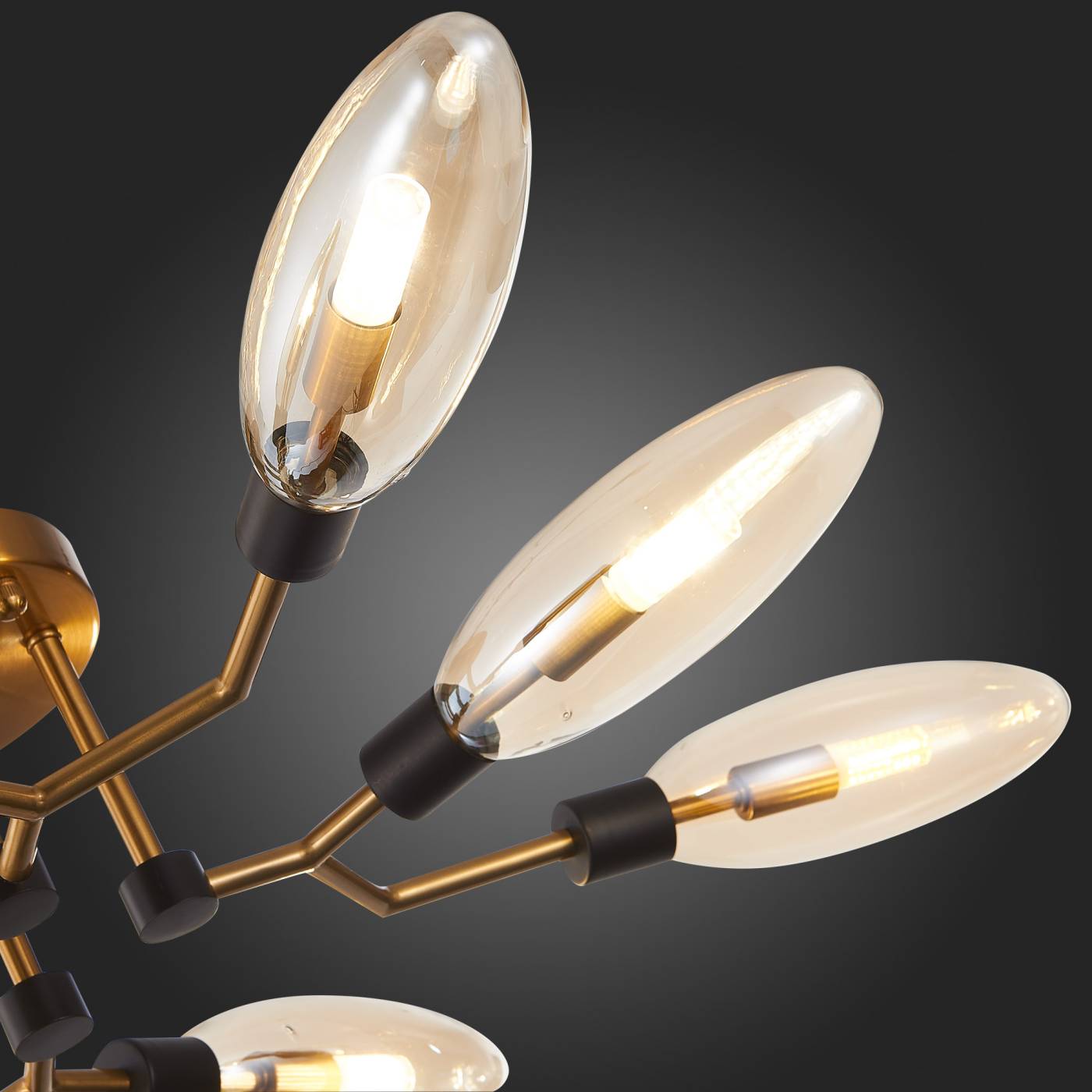 SL1174.302.08 Потолочная люстра ST Luce Desima SL1174.302.08