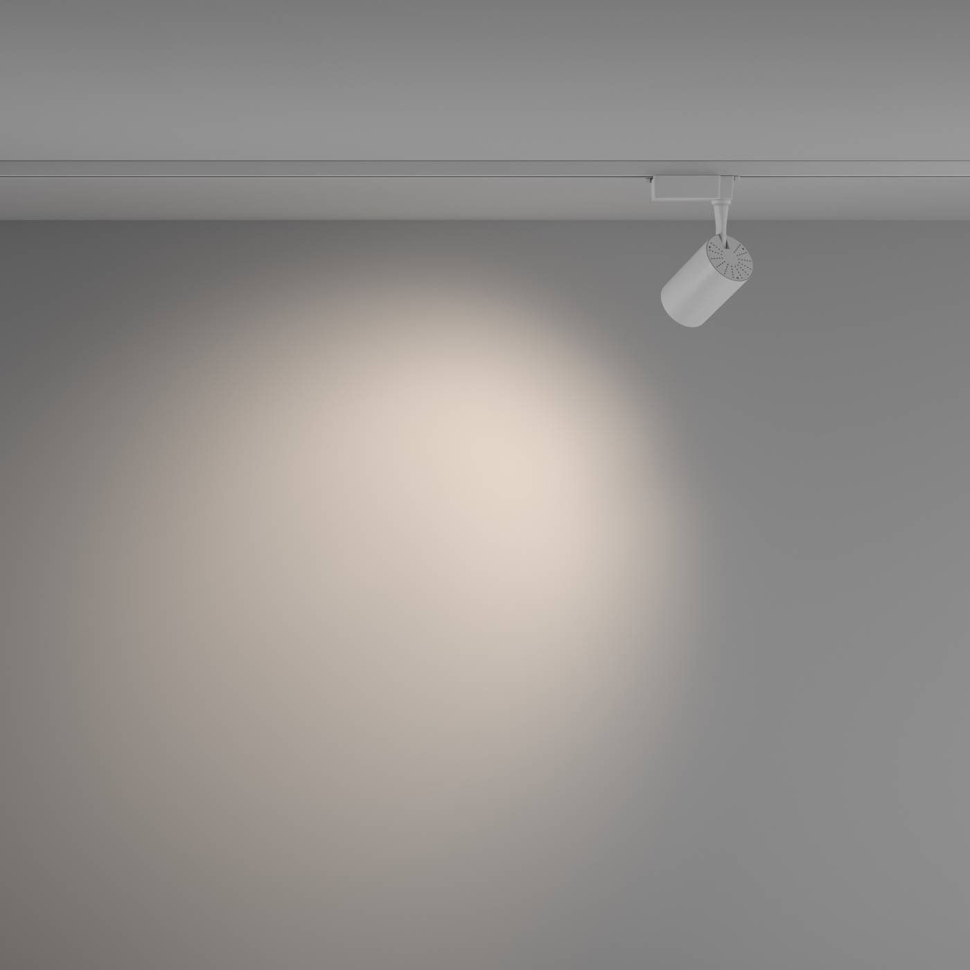 TR003-1-10W4K-W-W Трековый светильник Maytoni Vuoro Unity TR003-1-10W4K-W-W