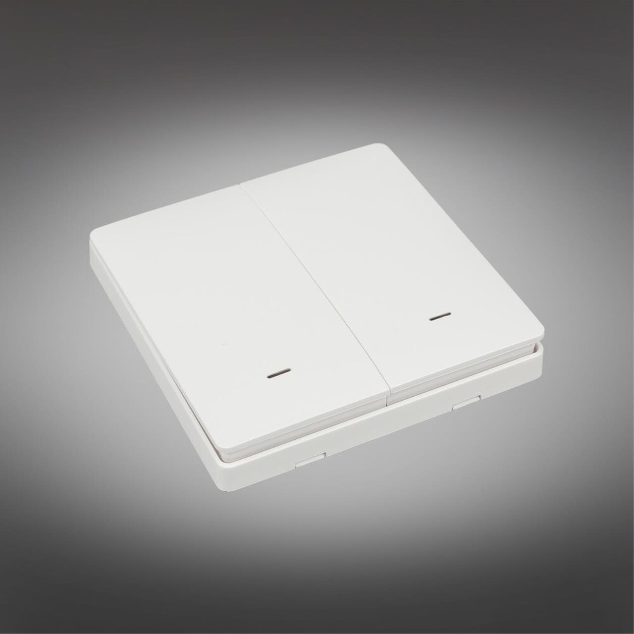 APL.0190.00.02 Выключатель двухклавишный Aployt Magnetic track 220 APL.0190.00.02