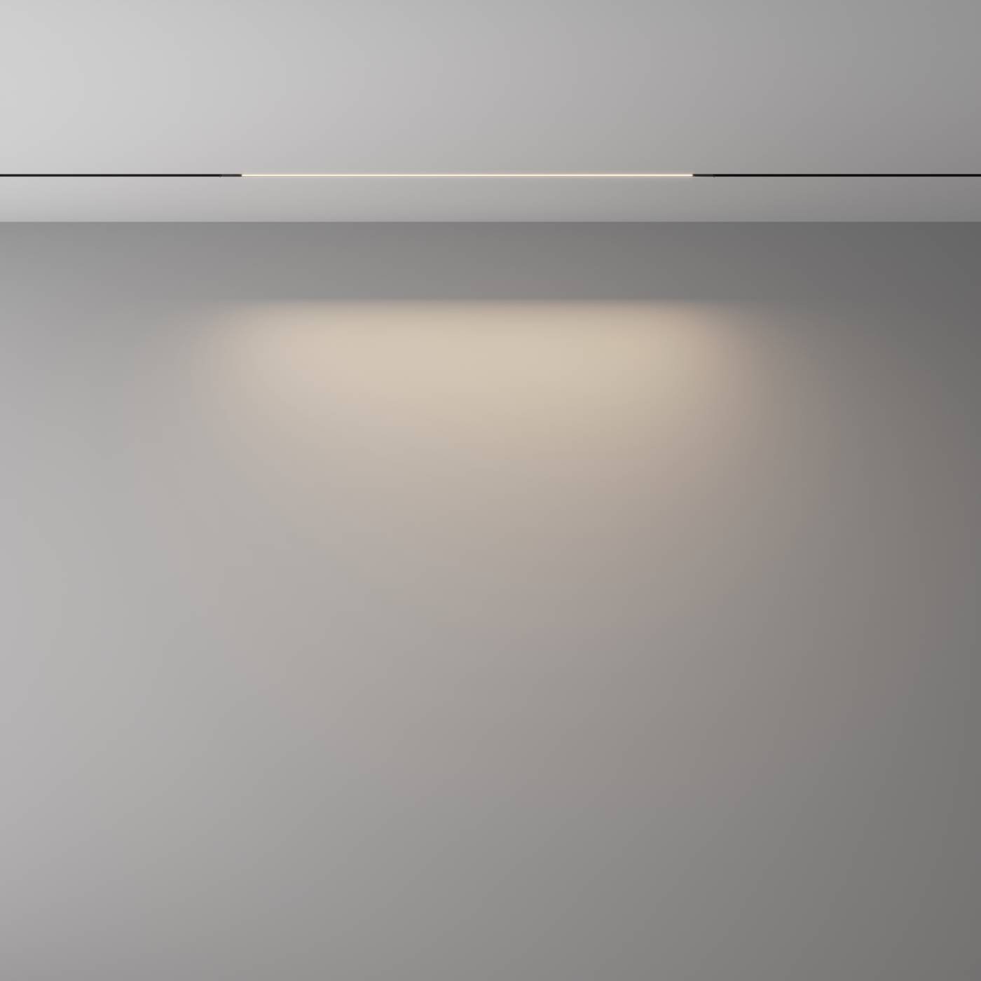 Трековый светильник Basis Maytoni TR240-2-12W4K-B
