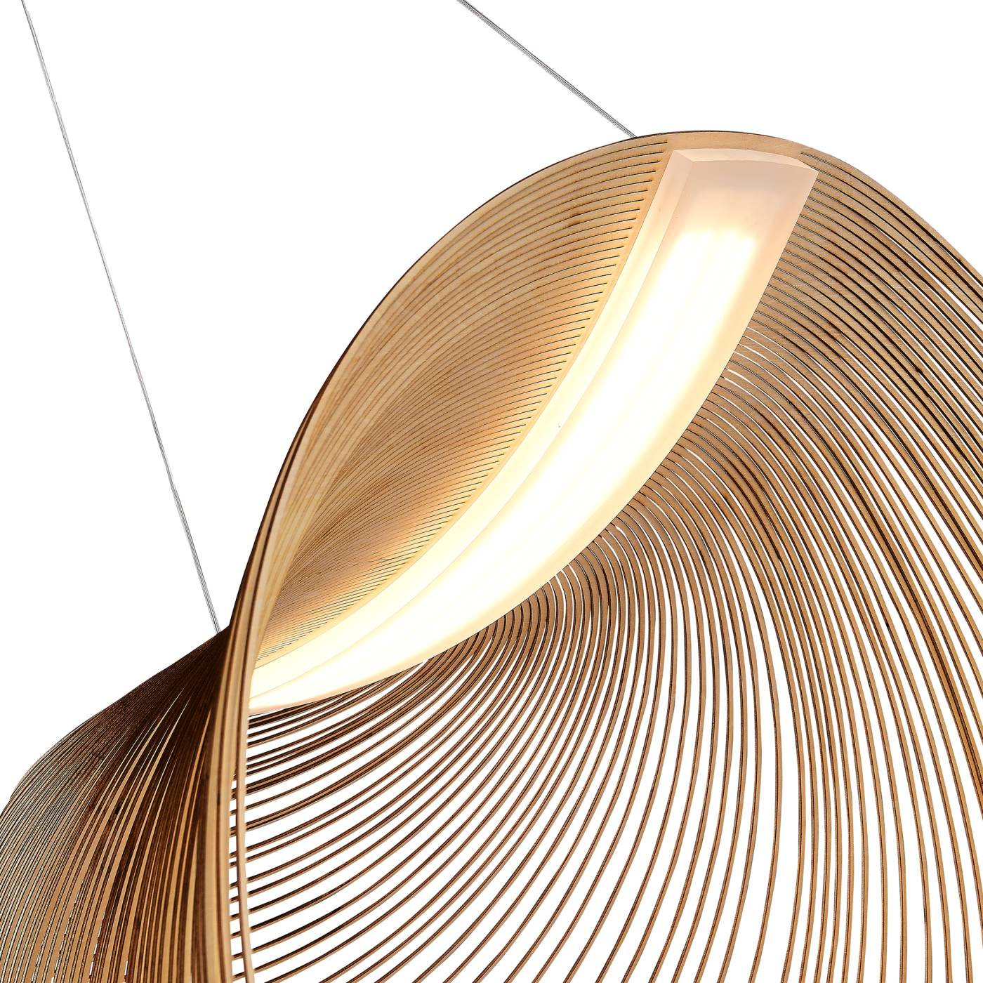 Подвесная люстра ST Luce Fossil SL6900.503.32