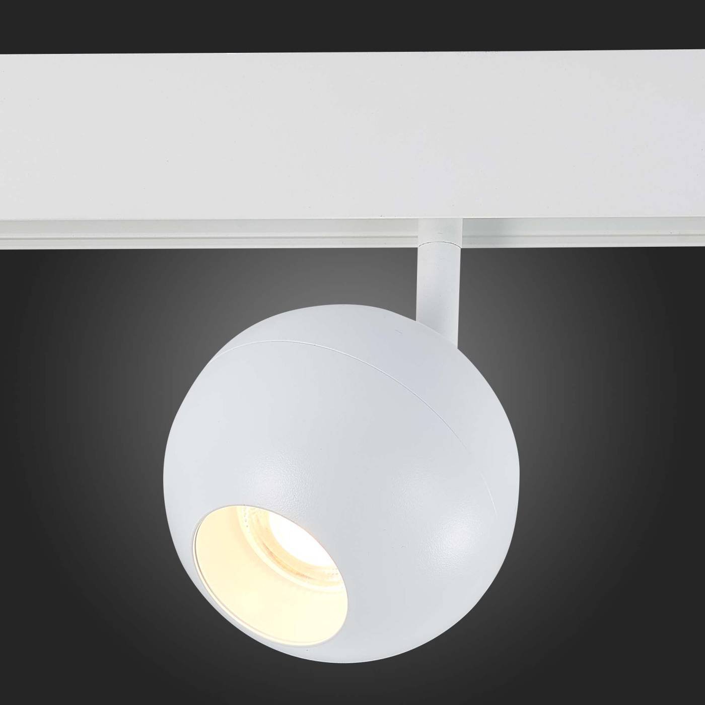 ST354.536.12 Трековый светильник ST Luce Bole ST354.536.12