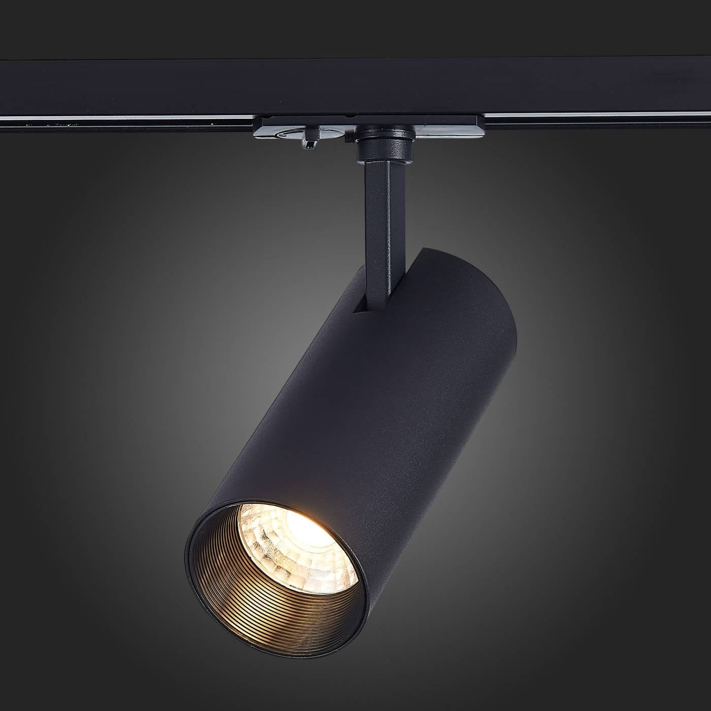 ST350.436.20.36 Трековый светильник ST Luce Mono ST350.436.20.36